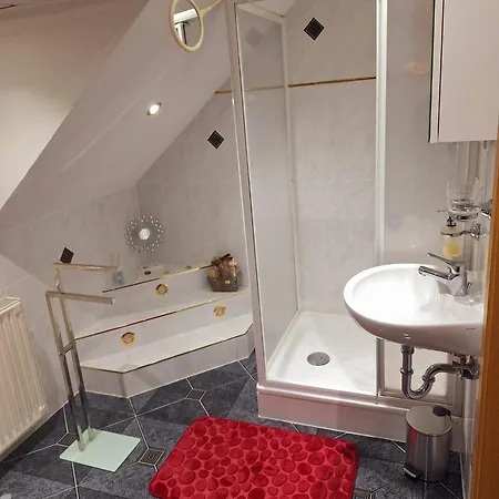 Im Erzgebirge - Seiffen * Neuhausen (Saxony)