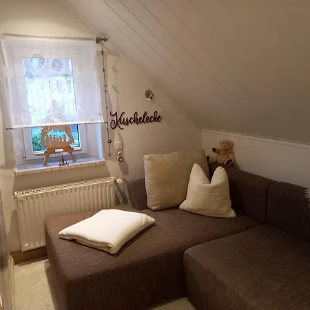 Im Erzgebirge - Seiffen Neuhausen (Saxony)